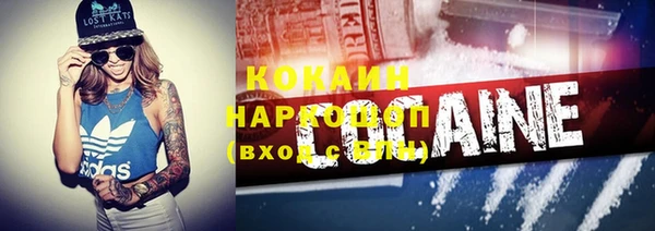 спиды Пересвет