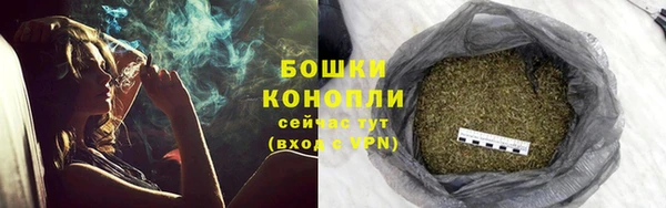 хмурый Пестово