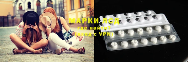 хмурый Пестово