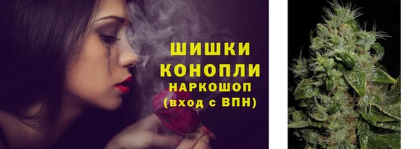 хмурый Пестово