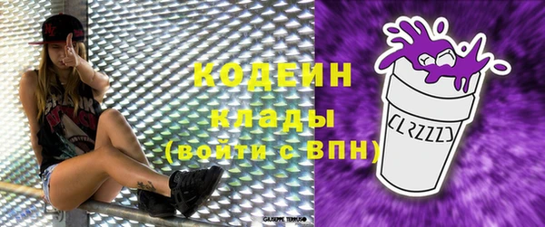 хмурый Пестово