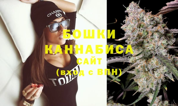 спиды Пересвет