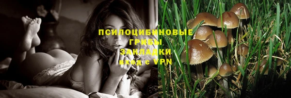 спиды Пересвет