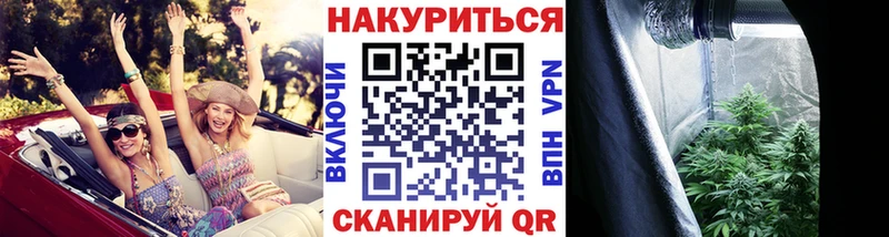Шишки марихуана OG Kush  Вольск 